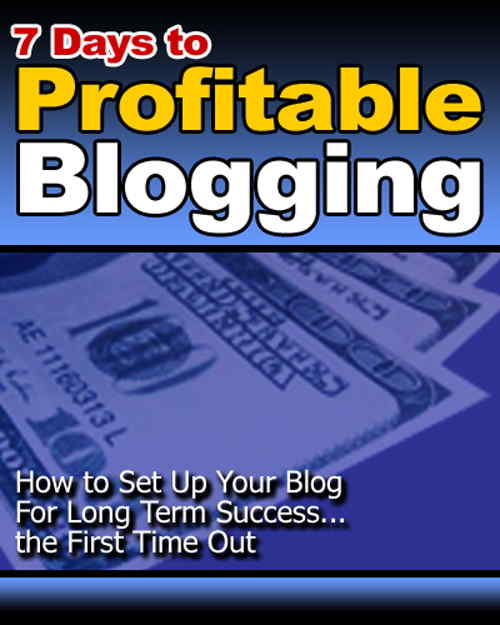 7 Days to Profitable Blogging: How to Set Up Your Blog For Long Term Success - the First Time Out