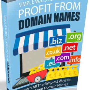Profiting From Domain Names