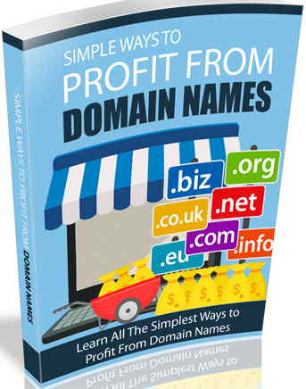 Profiting From Domain Names