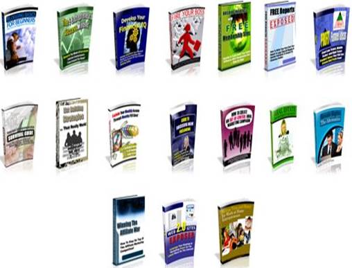 PLR Rights to 17 Ebooks With Sites
