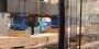 two-ne-tree-species-can-be-used-in-new-sustainable-building-material