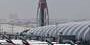 new-virus-hits-mideast-airlines-with-$100m-loss,-group-says