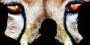 senators-scrutinize-web-scraping-facial-recognition-startup
