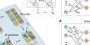 in-sensor-computing-to-speed-up-machine-vision