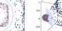 approximating-a-kernel-of-truth