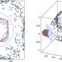 approximating-a-kernel-of-truth