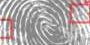 unsecured-database-exposes-76,000-fingerprints