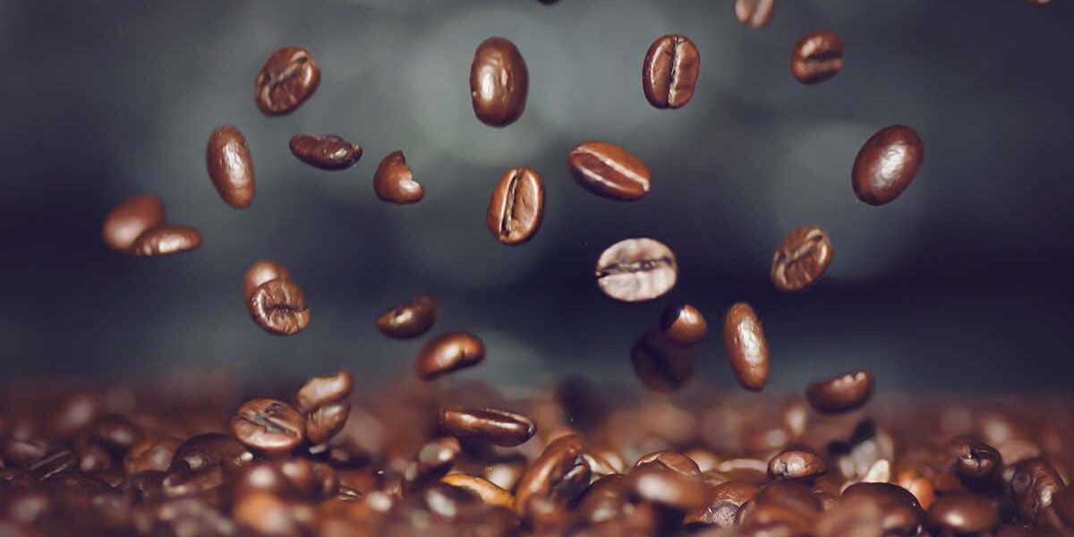every-arabica-coffee-plant-may-come-from-a-single-common-ancestor