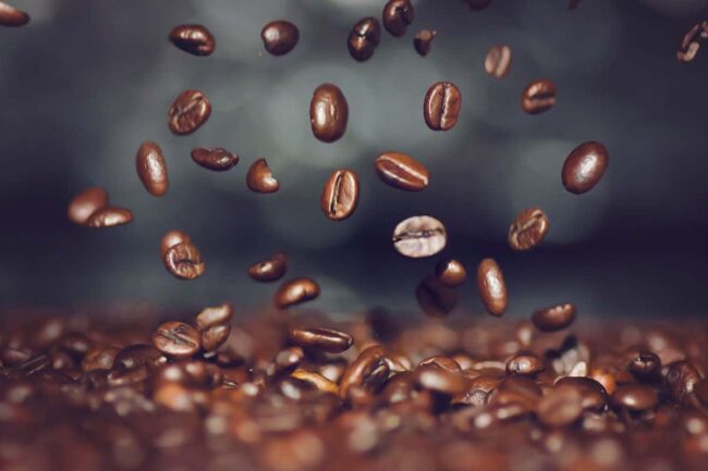 every-arabica-coffee-plant-may-come-from-a-single-common-ancestor every-arabica-coffee-plant-may-come-from-a-single-common-ancestor