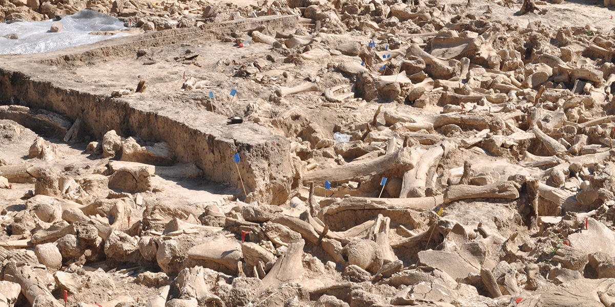‘bonehenge’:-stone-age-structure-of-mammoth-bones-discovered-in-russia ‘bonehenge’:-stone-age-structure-of-mammoth-bones-discovered-in-russia