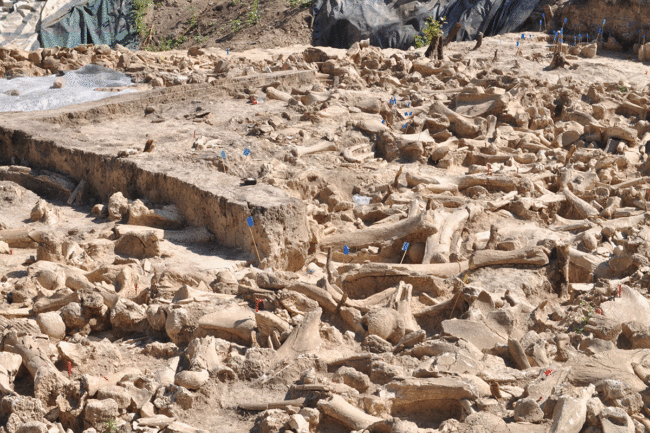 ‘bonehenge’:-stone-age-structure-of-mammoth-bones-discovered-in-russia ‘bonehenge’:-stone-age-structure-of-mammoth-bones-discovered-in-russia