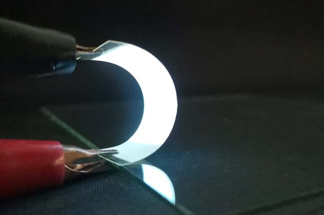 fish-scales-turned-into-flexible-and-biodegradable-electronic-displays fish-scales-turned-into-flexible-and-biodegradable-electronic-displays