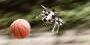 this-drone-can-play-dodgeball—and-win