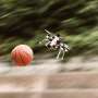 this-drone-can-play-dodgeball—and-win