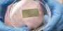 nature-inspired-green-energy-technology-clears-important-development-hurdle