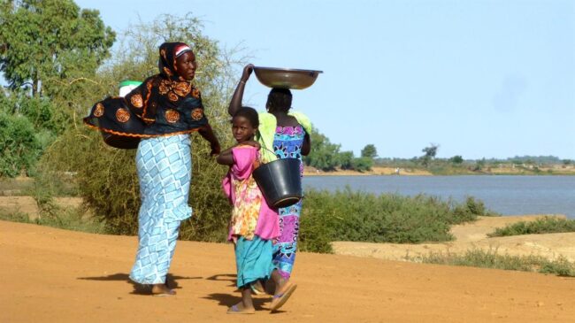 dracunculiasis-eradication:-intensifying-surveillance-amid-continued-zero-human-cases-in-ethiopia-and-mali dracunculiasis-eradication:-intensifying-surveillance-amid-continued-zero-human-cases-in-ethiopia-and-mali