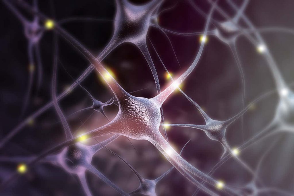 genetically-modified-neurons-could-help-us-connect-to-implants