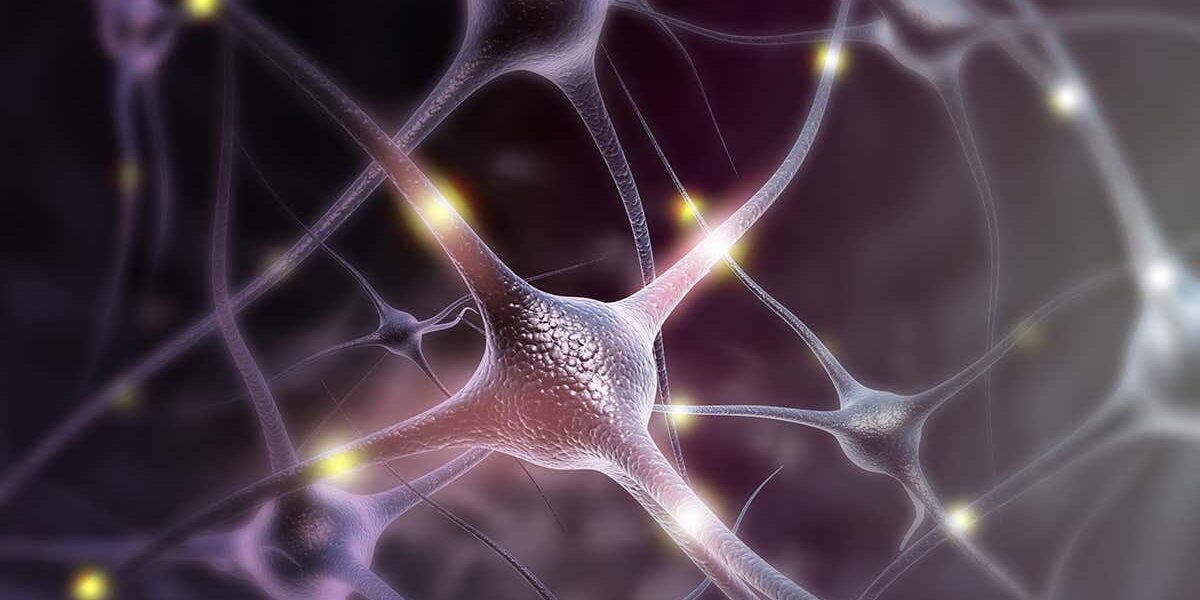 genetically-modified-neurons-could-help-us-connect-to-implants genetically-modified-neurons-could-help-us-connect-to-implants