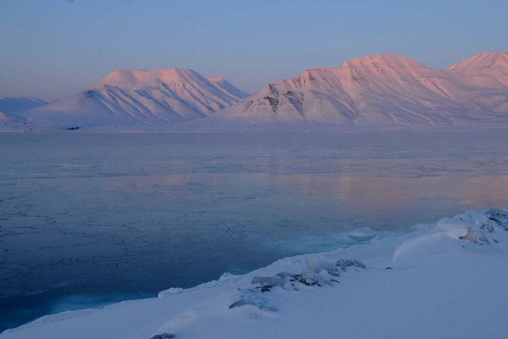 plants-sprouted-from-seeds-stored-for-decades-in-a-disused-arctic-mine