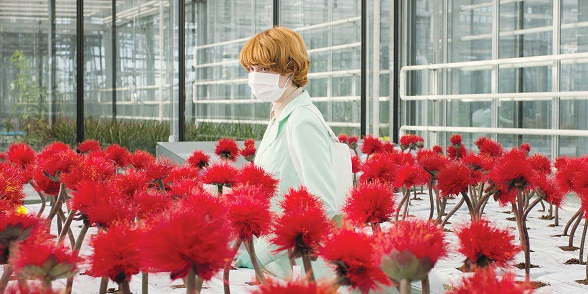 little-joe-review:-we-should-worry-about-these-mind-bending-plants little-joe-review:-we-should-worry-about-these-mind-bending-plants