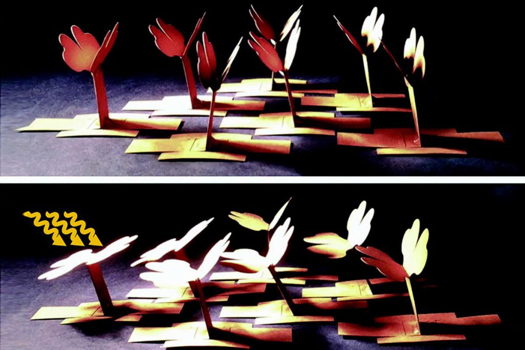 robot-with-origami-leaves-can-follow-the-sun-like-a-real-plant