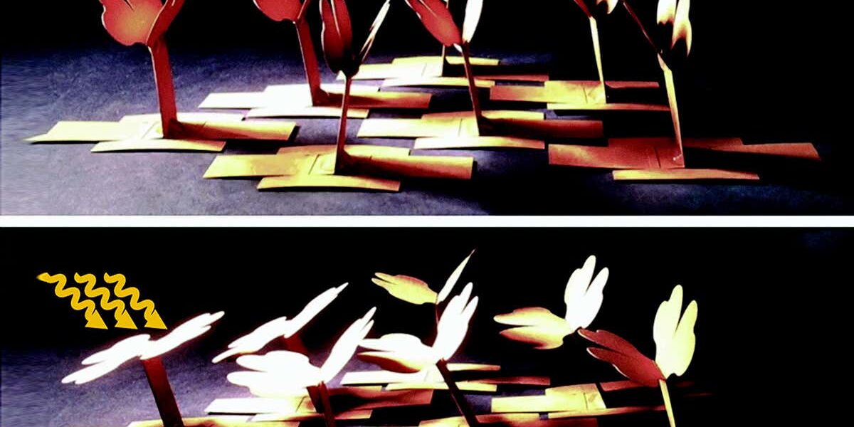 robot-with-origami-leaves-can-follow-the-sun-like-a-real-plant