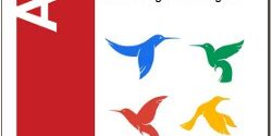 how-will-google’s-‘hummingbird’-update-impact-your-seo? how-will-google’s-‘hummingbird’-update-impact-your-seo?