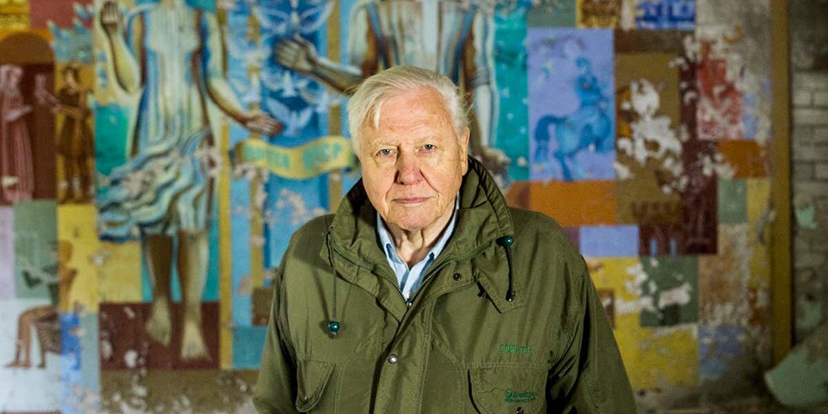 david-attenborough’s-a-life-on-our-planet-is-a-powerful-call-to-action david-attenborough’s-a-life-on-our-planet-is-a-powerful-call-to-action