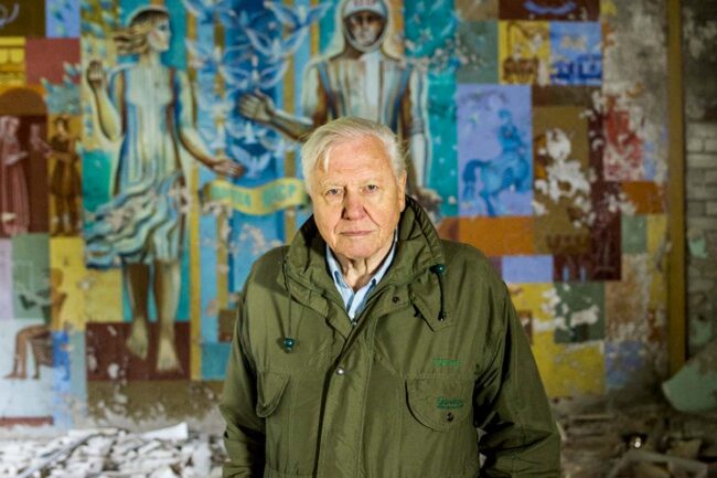 david-attenborough’s-a-life-on-our-planet-is-a-powerful-call-to-action david-attenborough’s-a-life-on-our-planet-is-a-powerful-call-to-action