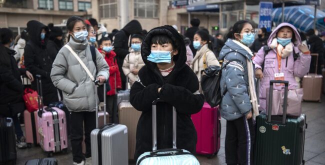 who-information-note:-ensuring-continuity-of-tb-services-during-the-covid-19-pandemic