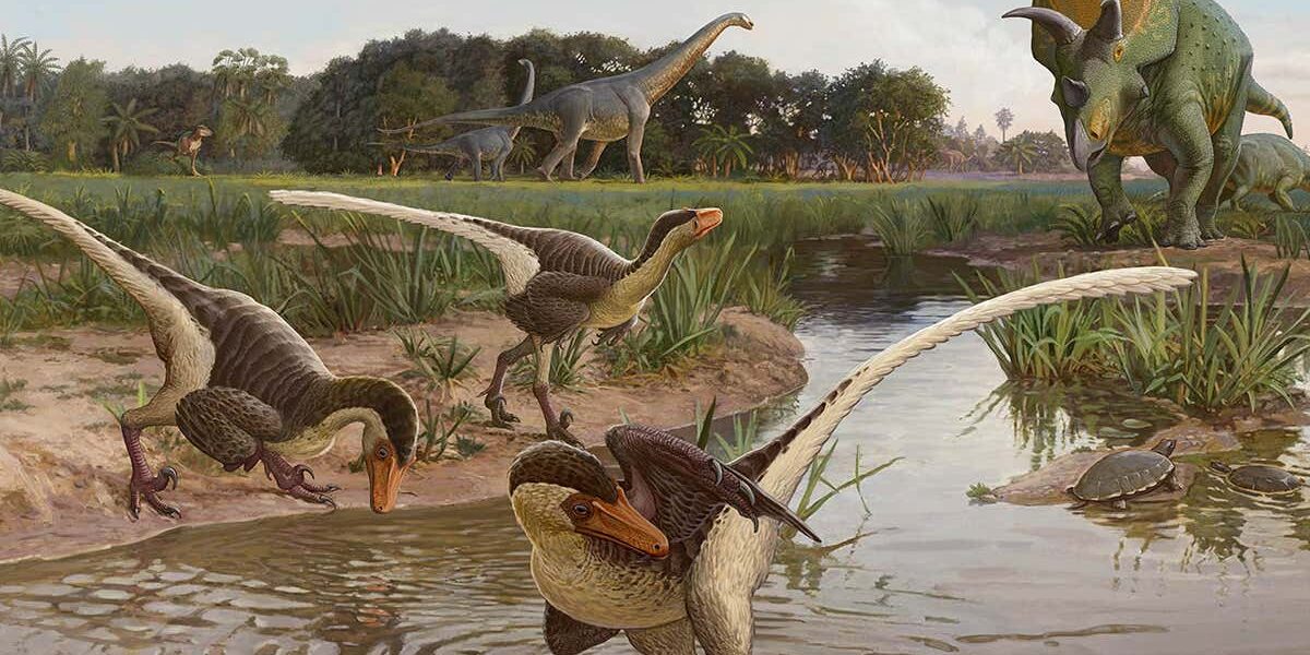 velociraptor-relative-had-a-much-stronger-grip-than-its-cousins velociraptor-relative-had-a-much-stronger-grip-than-its-cousins