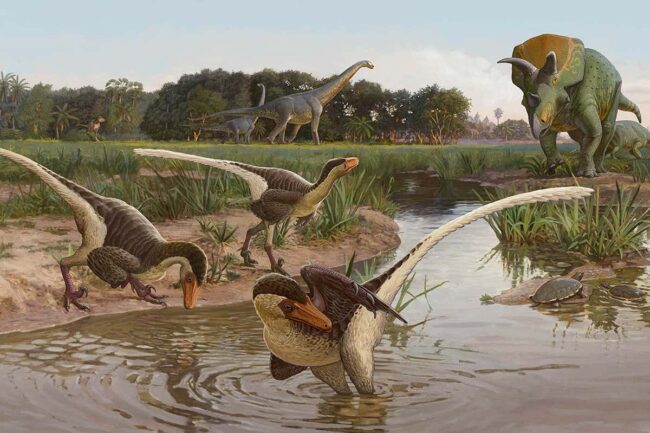 velociraptor-relative-had-a-much-stronger-grip-than-its-cousins velociraptor-relative-had-a-much-stronger-grip-than-its-cousins