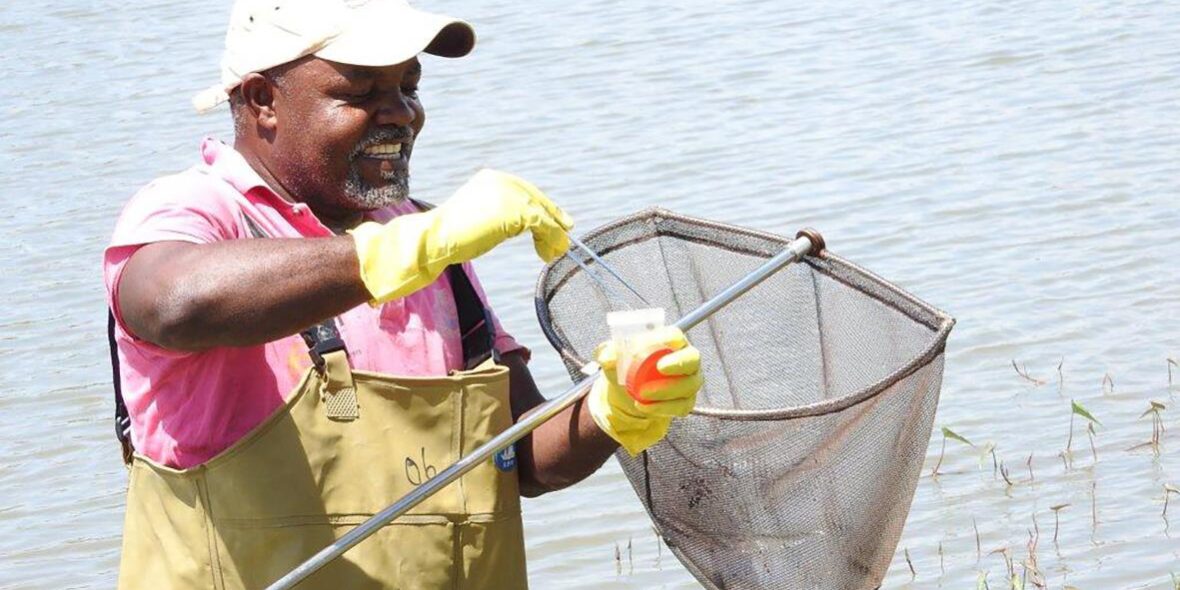 schistosomiasis-elimination:-refocusing-on-snail-control-to-sustain-progress schistosomiasis-elimination:-refocusing-on-snail-control-to-sustain-progress