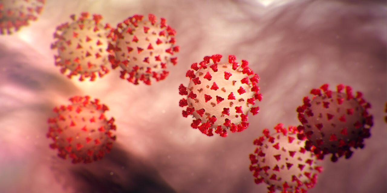 who-ranks-nigeria-sixth-african-country-with-highest-coronavirus-cases who-ranks-nigeria-sixth-african-country-with-highest-coronavirus-cases