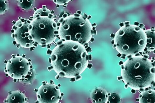 coronavirus:-kwara-group-calls-for-palliatives-for-poor-residents coronavirus:-kwara-group-calls-for-palliatives-for-poor-residents