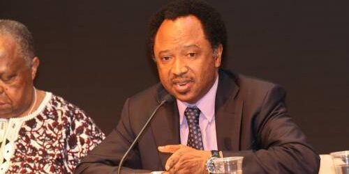 coronavirus:-shehu-sani-says-nigerians-may-die-of-hunger-over-lockdown coronavirus:-shehu-sani-says-nigerians-may-die-of-hunger-over-lockdown
