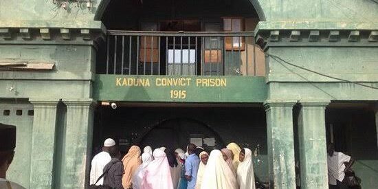 petri-dish-detention-by-mohammed-ibraheem-zakzaky petri-dish-detention-by-mohammed-ibraheem-zakzaky