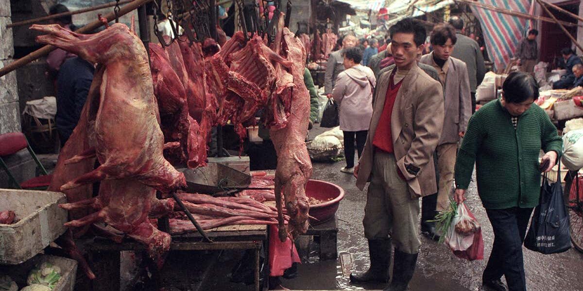 coronavirus:-china-wildlife-trade-ban-could-become-law-within-months coronavirus:-china-wildlife-trade-ban-could-become-law-within-months