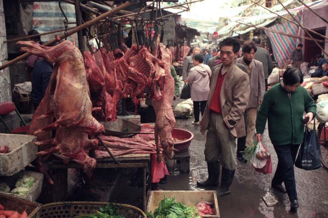 coronavirus:-china-wildlife-trade-ban-could-become-law-within-months coronavirus:-china-wildlife-trade-ban-could-become-law-within-months