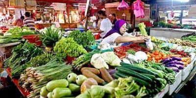 veggies-can-be-transported-out-of-kundasang:-junz veggies-can-be-transported-out-of-kundasang:-junz