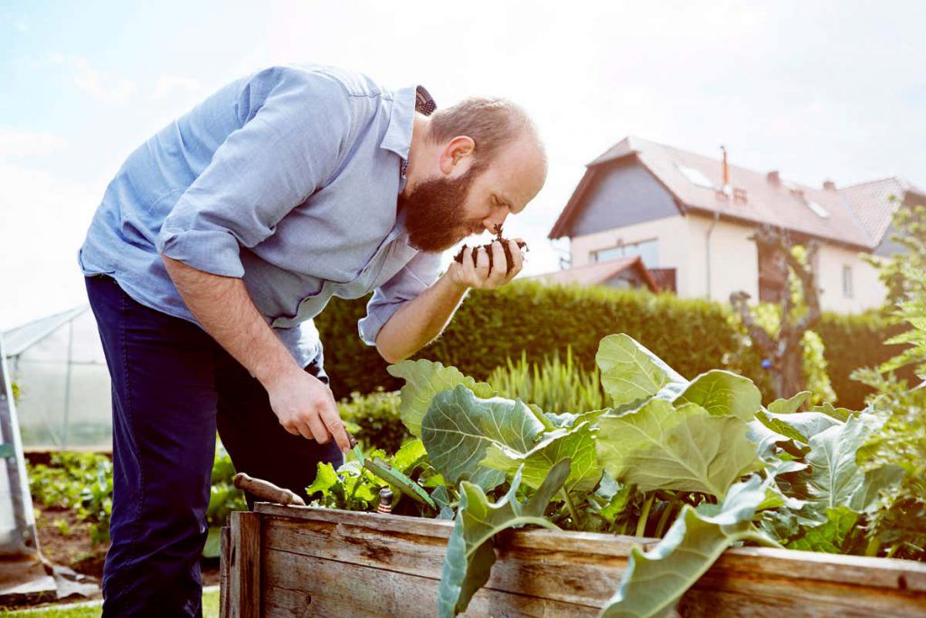 soil-gets-its-smell-from-bacteria-trying-to-attract-invertebrates