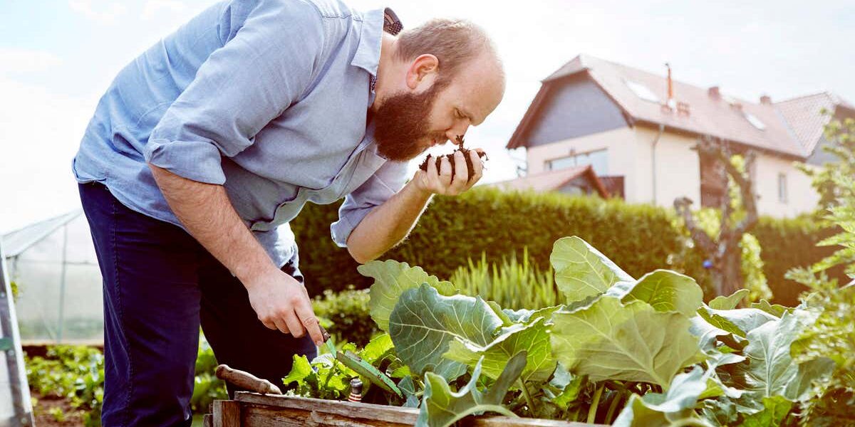 soil-gets-its-smell-from-bacteria-trying-to-attract-invertebrates soil-gets-its-smell-from-bacteria-trying-to-attract-invertebrates