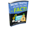 Business and Website Traffic